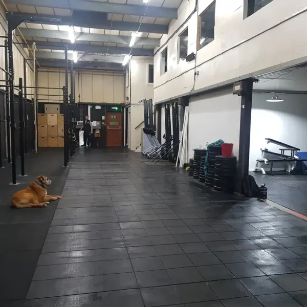 Solid top gym mat.1 scaled compressed|Cushion Link Solid Top Gym Mat 100 Nitrile|clstgp s|Cushion Link Bevels|Solid top gym mat in use at a gym|Solid top gym mat in use at a gym
