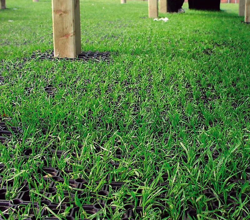 Close-up of green grass growing through a black plastic grid system on the ground, with wooden posts in the background. The grid helps support and protect the grass.